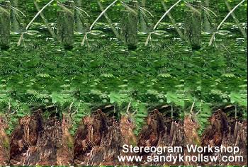 Hidden Image Stereogram Creation Software